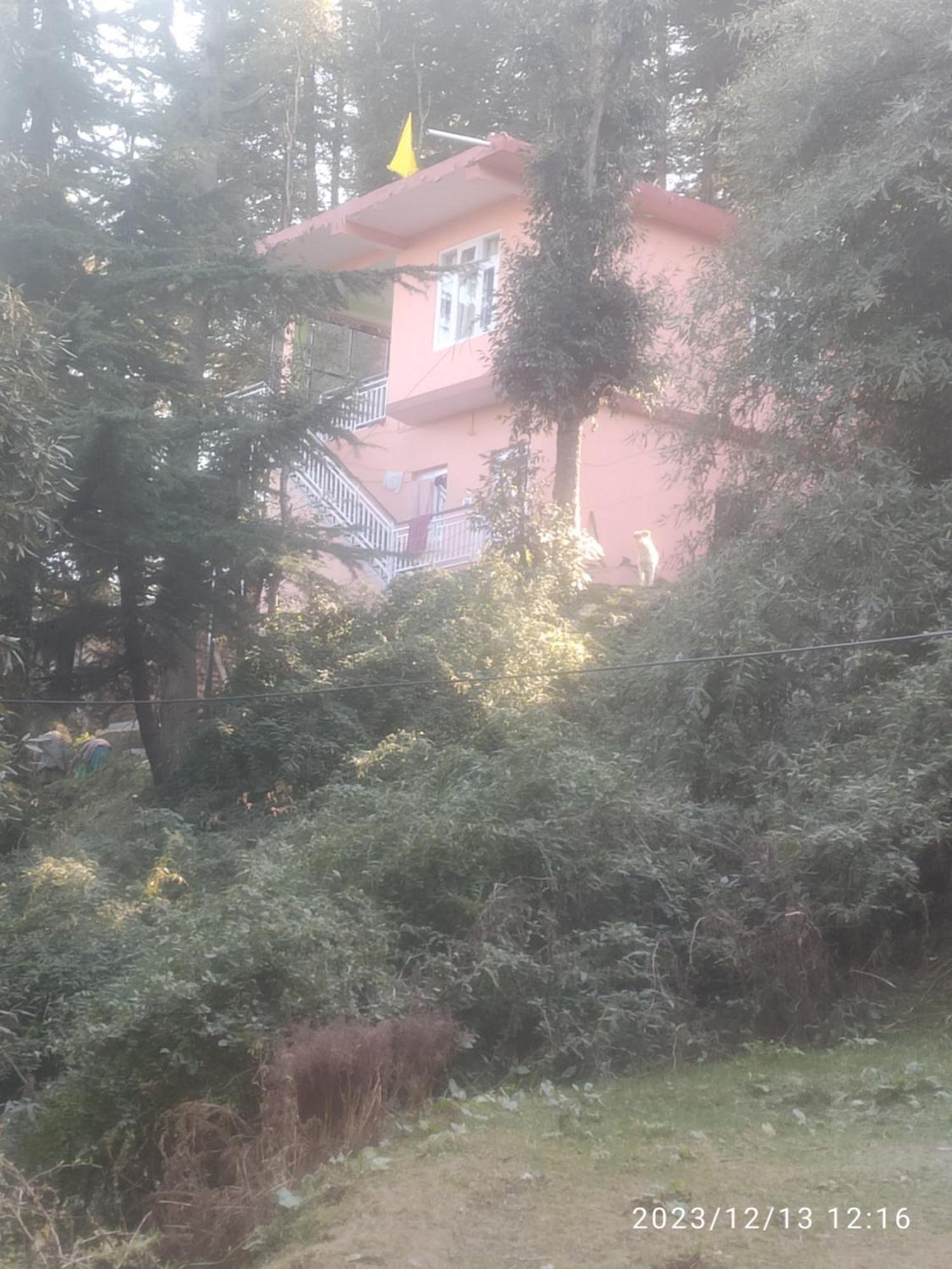 Tree Valley Homestay *